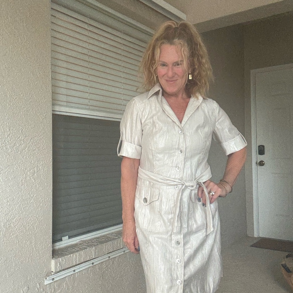 Chico's Elegant Shimmering Silver Cream Textured Dress - Picture 1 of 8